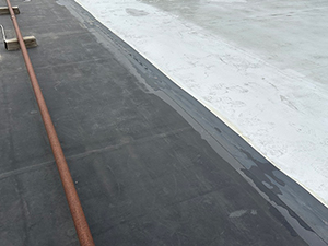 Commercial Roofing Services