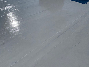 Weather-Resistant Commercial Coating1